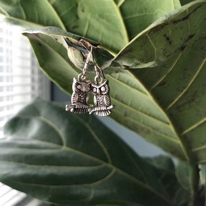 Sterling Silver Owl Dangle Earrings and Necklace